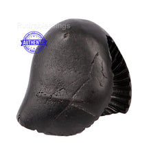 Load image into Gallery viewer, Vaikunth Narsimha Shaligram - 126
