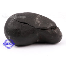 Load image into Gallery viewer, Shaligram - 137
