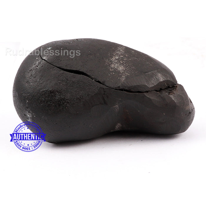 Shaligram - 137