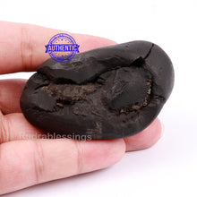 Load image into Gallery viewer, Shaligram - 137

