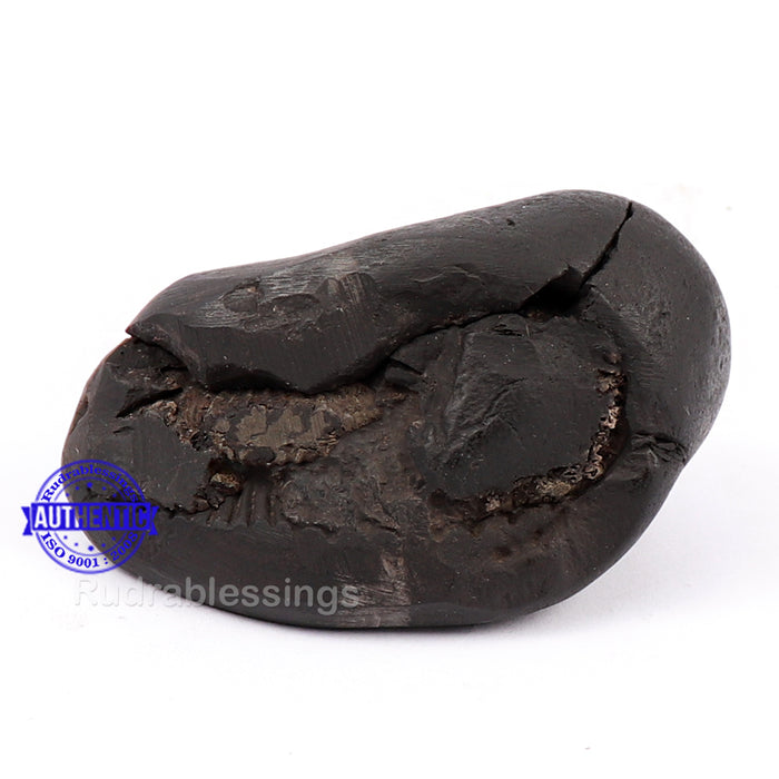 Shaligram - 137