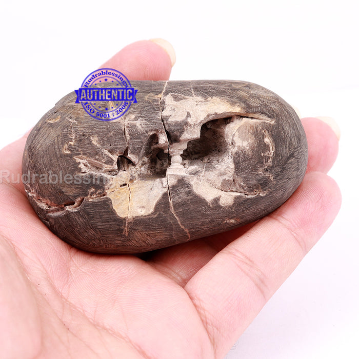 Vatapatrashey Murthy Shaligram - 140