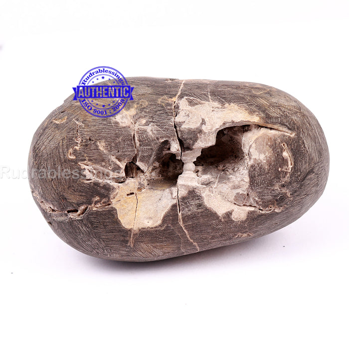 Vatapatrashey Murthy Shaligram - 140