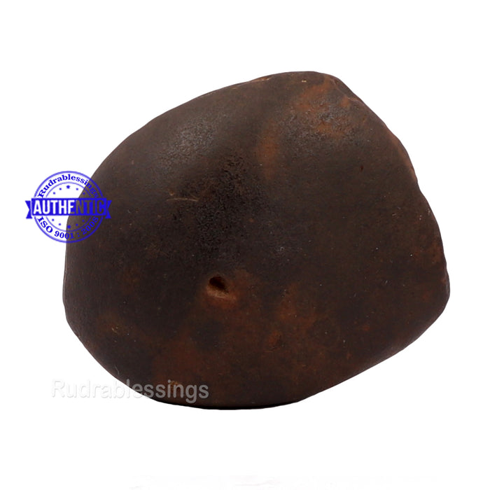 Shaligram - 143