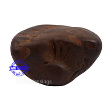 Load image into Gallery viewer, Shaligram - 146
