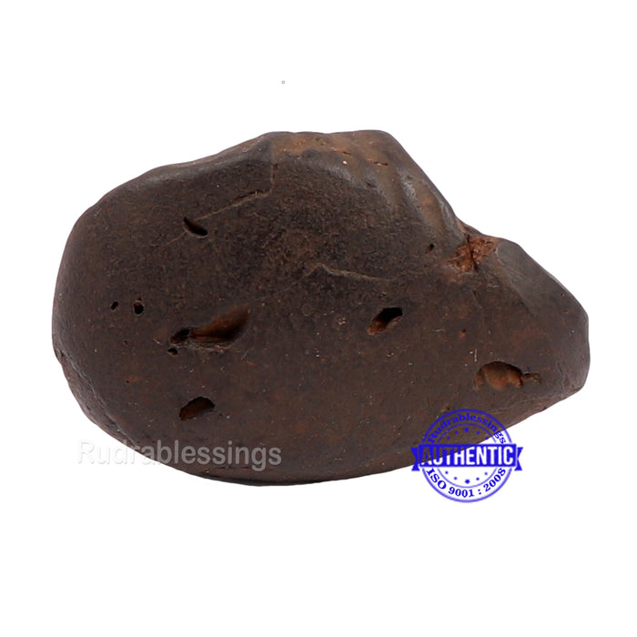 Shaligram - 147