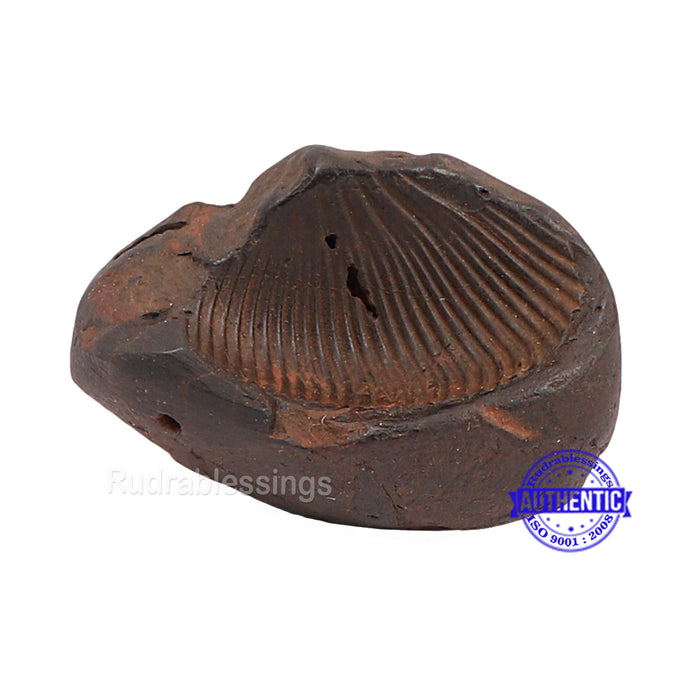 Shaligram - 147