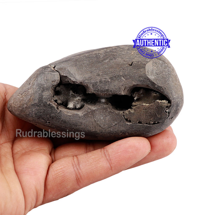 Shaligram - 153