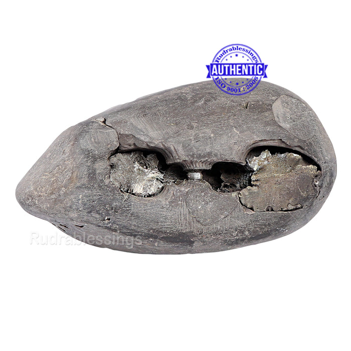Shaligram - 153