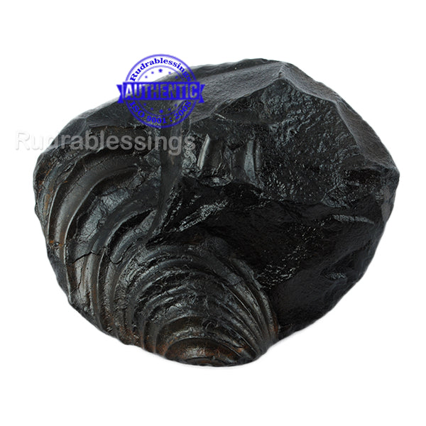 Shaligram - 22