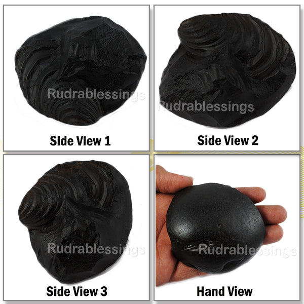 Shaligram - 22