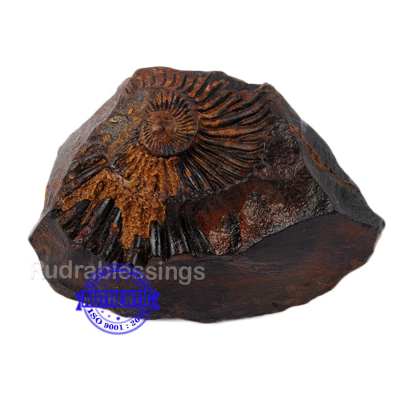 Shaligram -34
