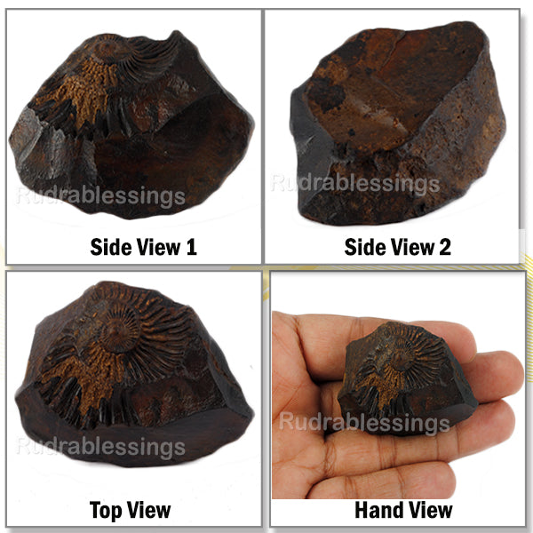 Shaligram -34