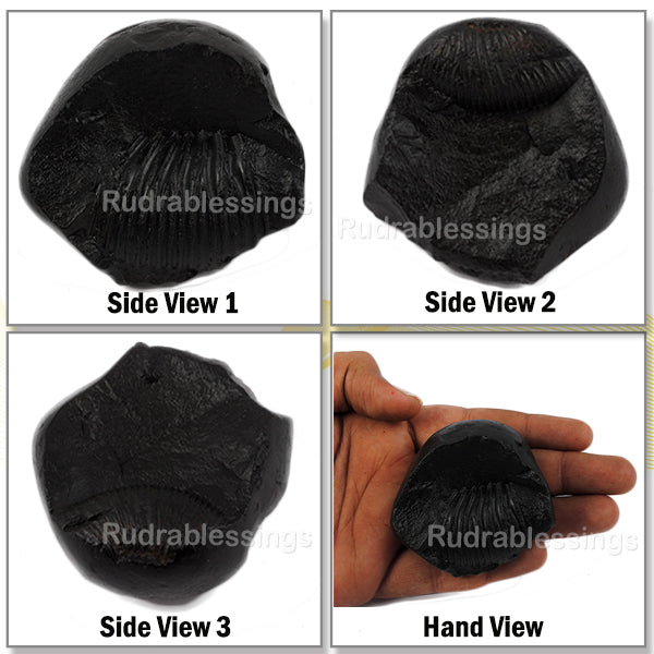 Shaligram - 36