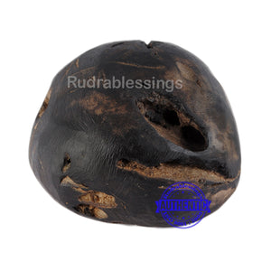 Shaligram - 38