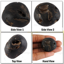 Load image into Gallery viewer, Shaligram - 38
