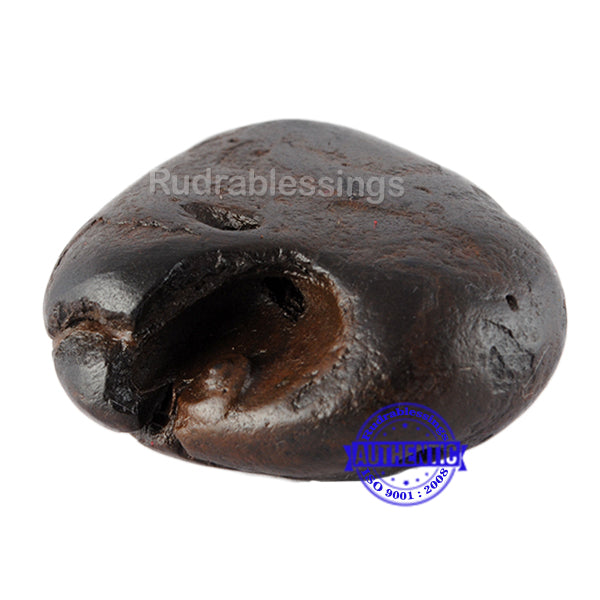 Shaligram - 39
