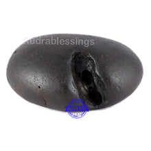 Load image into Gallery viewer, Shaligram - 47
