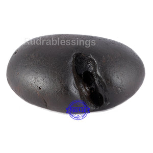 Shaligram - 47