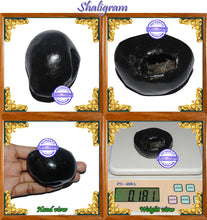 Load image into Gallery viewer, Shaligram - 21
