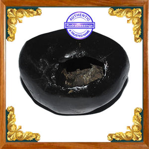 Shaligram - 21