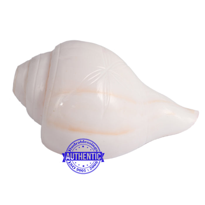 6 Lines / Shastan (Senses) Shankh - 11