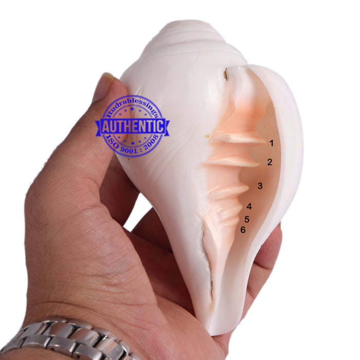 6 Lines / Shastan (Senses) Shankh - 11