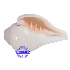 6 Lines / Shastan (Senses) Shankh - 11