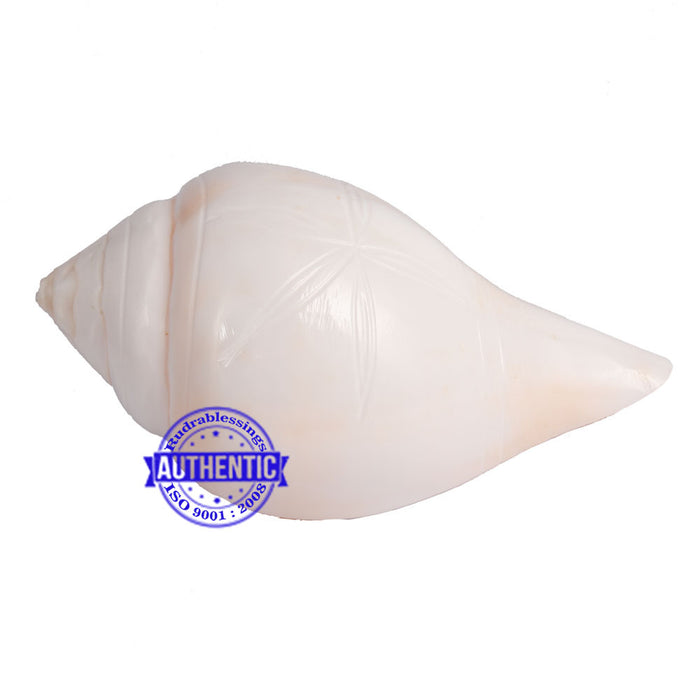 6 Lines / Shastan (Senses) Shankh - 12