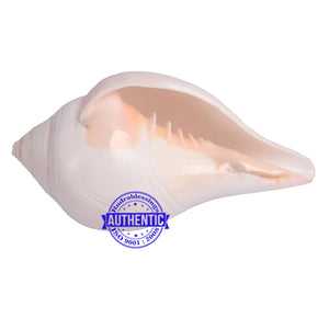 6 Lines / Shastan (Senses) Shankh - 12