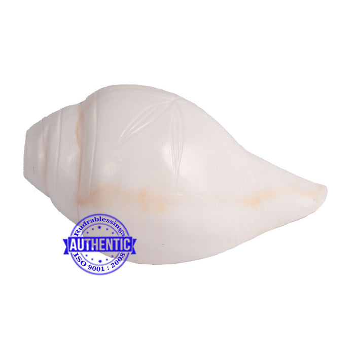 6 Lines / Shastan (Senses) Shankh - 14