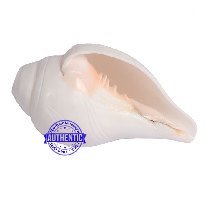 6 Lines / Shastan (Senses) Shankh - 14