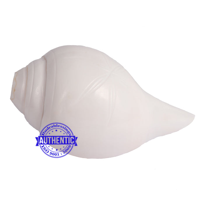 6 Lines / Shastan (Senses) Shankh - 15