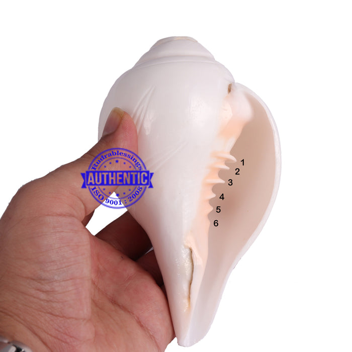 6 Lines / Shastan (Senses) Shankh - 15