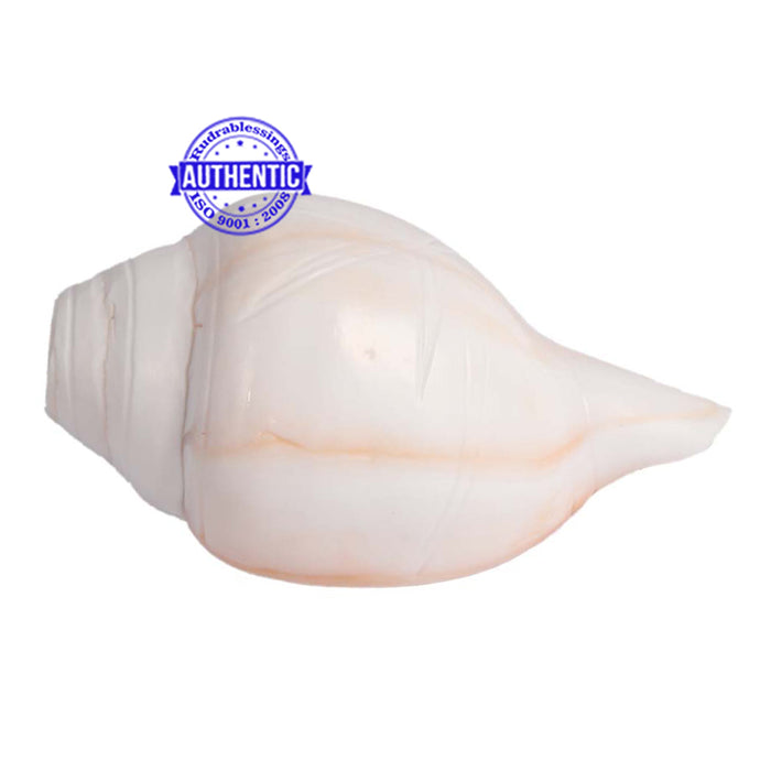 6 Lines / Shastan (Senses) Shankh - 16