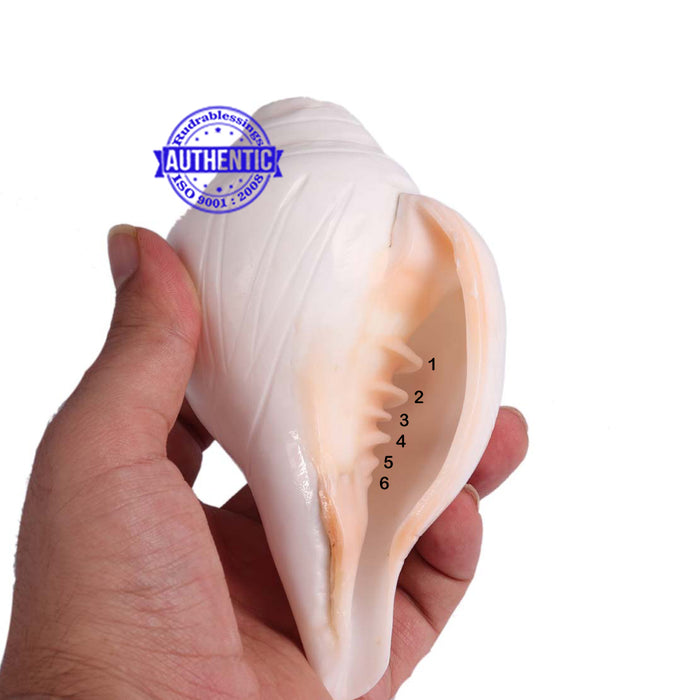 6 Lines / Shastan (Senses) Shankh - 16