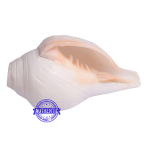 6 Lines / Shastan (Senses) Shankh - 16