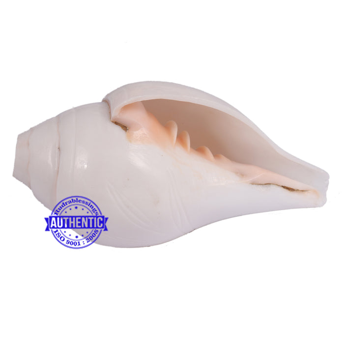 4 Lines / 4 Vedas Shankh - 1