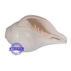 4 Lines / 4 Vedas Shankh - 2