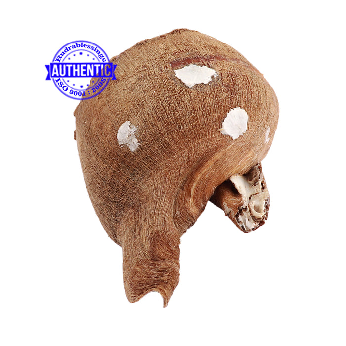 Shankarnarayan Twin Shankh - 39