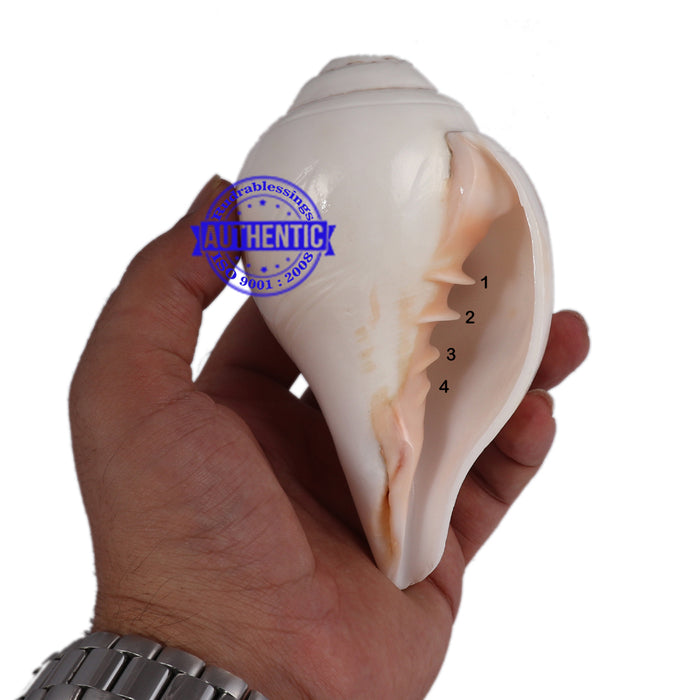 4 Lines / 4 Vedas Shankh - 4