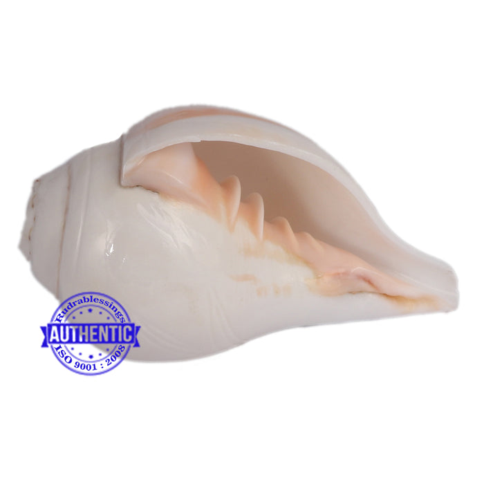 4 Lines / 4 Vedas Shankh - 4