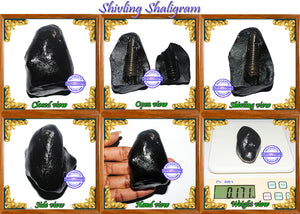 Shivling Shaligram - 6