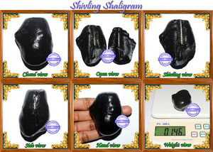 Shivling Shaligram - 7