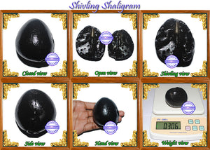 Shivling Shaligram - 10