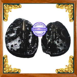 Shivling Shaligram - 10