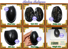 Load image into Gallery viewer, Shivling Shaligram - 11
