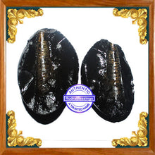Load image into Gallery viewer, Shivling Shaligram - 8
