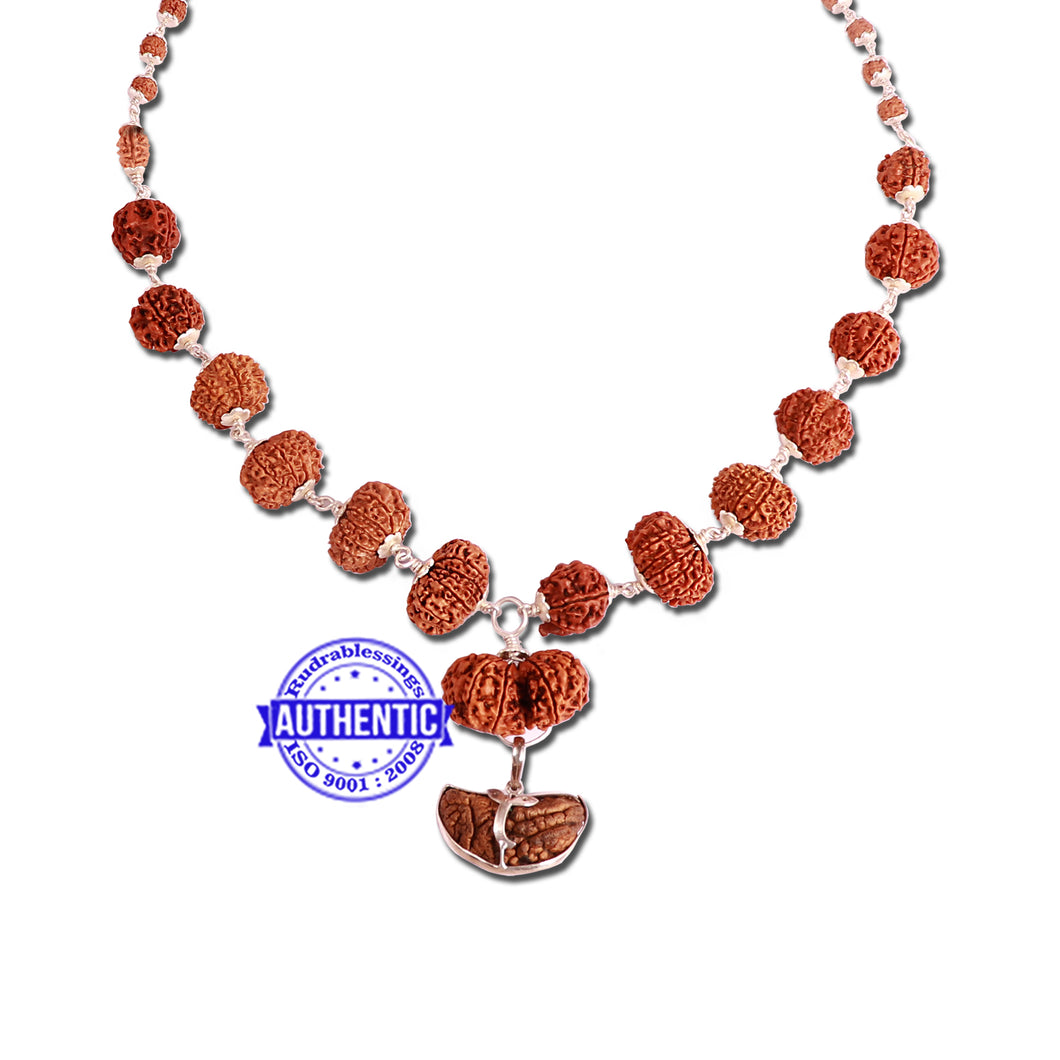 Rudraksha SidhShakti Mala from Nepal (Std size beads)
