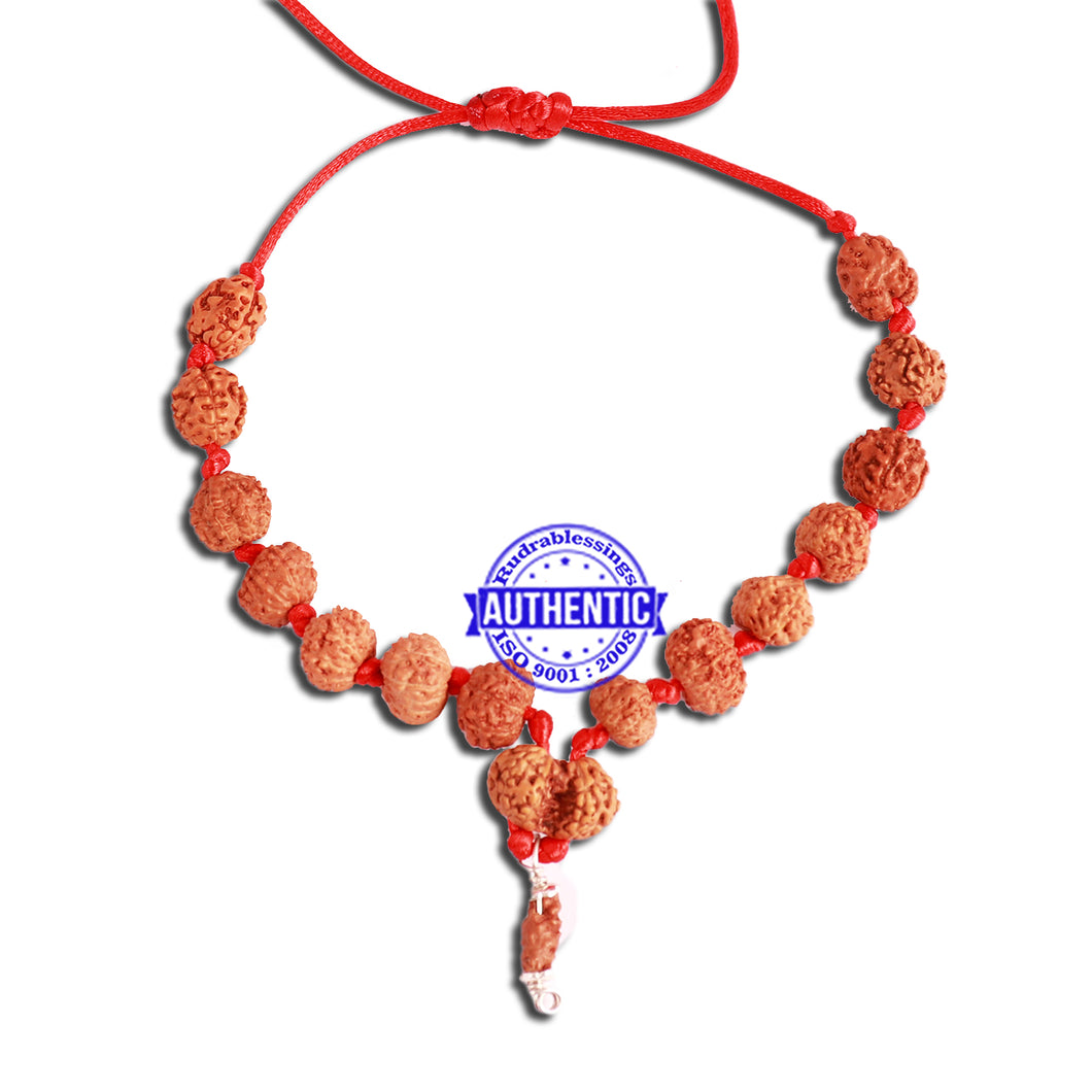 Rudraksha SidhShakti Mala from Indonesia (Standard size beads) - 4